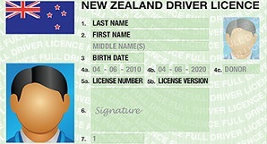 <span id="hs_cos_wrapper_name" class="hs_cos_wrapper hs_cos_wrapper_meta_field hs_cos_wrapper_type_text" style="" data-hs-cos-general-type="meta_field" data-hs-cos-type="text" >Work or Special Licence, otherwise known as a Limited Licence.</span>